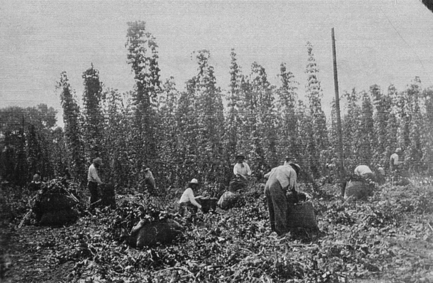 Sloughhouse Elk Grove Historical Society